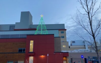 Tree of Dreams is shining bright!