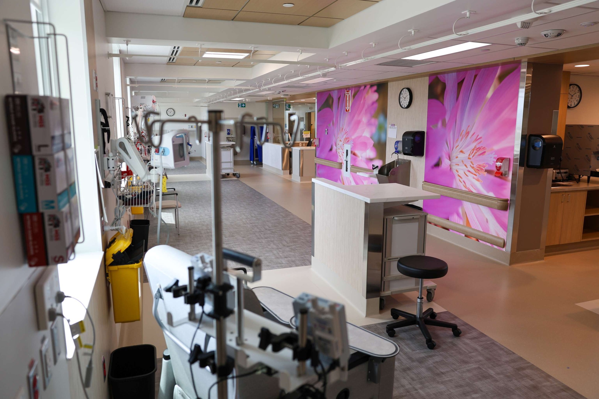 499194960_1150493423782301_236570585453641495_n